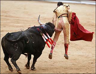 spanishbullfighter